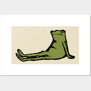 Lazy Frog - Sleep Frog Posters and Art